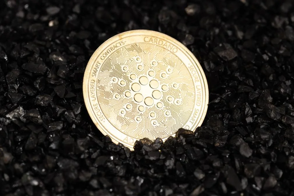  Koin Cardano dengan latar belakang kerikil hitam 